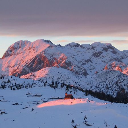 Velika Planina - Chalet Stane - Alps Stahovica Exterior foto
