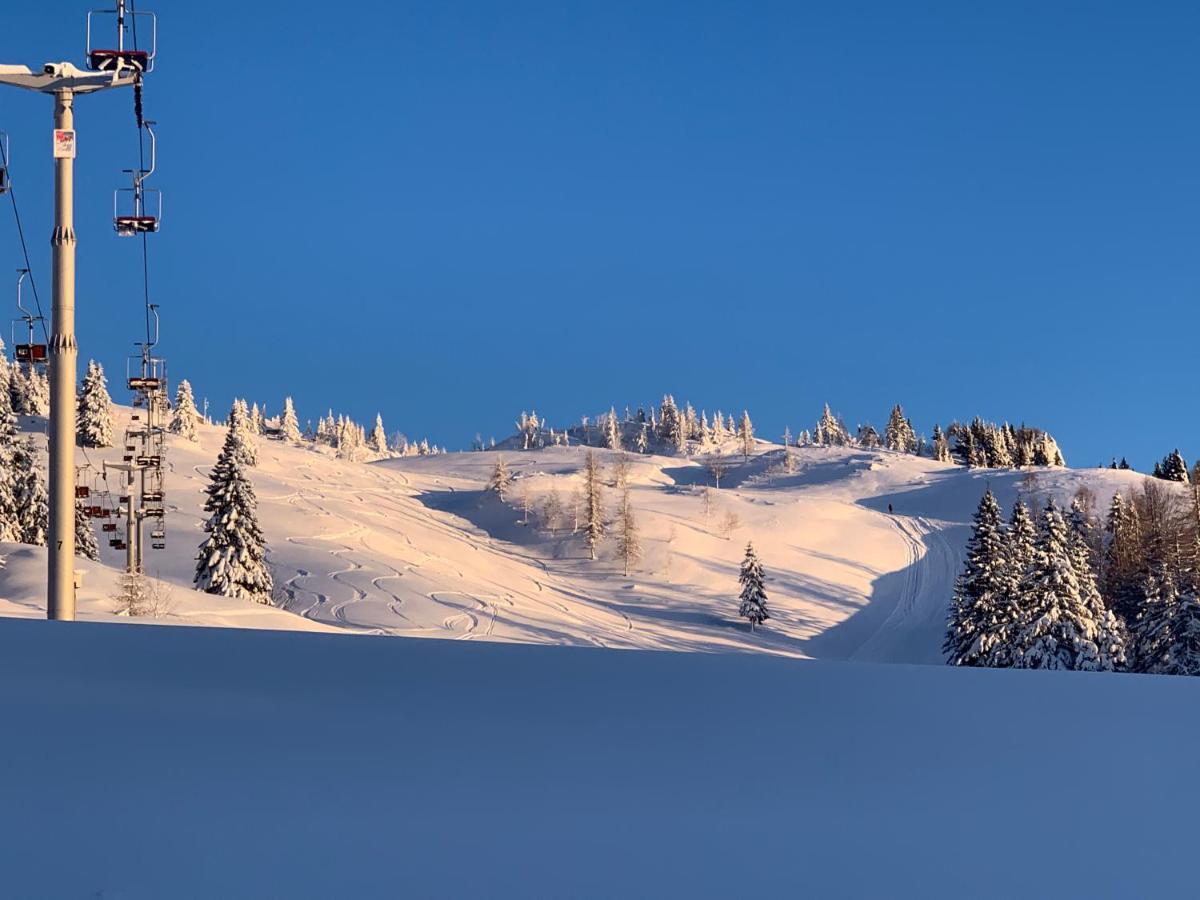 Velika Planina - Chalet Stane - Alps Stahovica Exterior foto