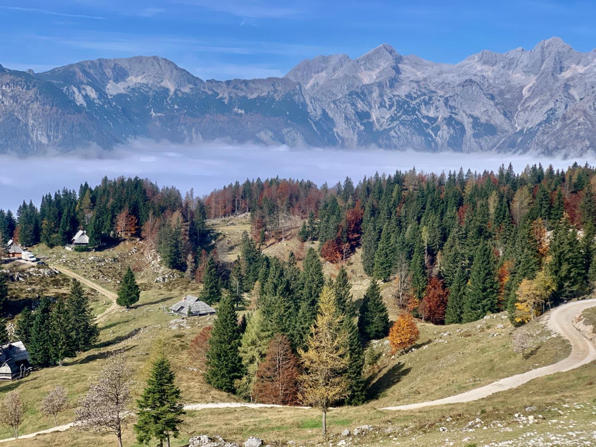 Velika Planina - Chalet Stane - Alps Stahovica Exterior foto
