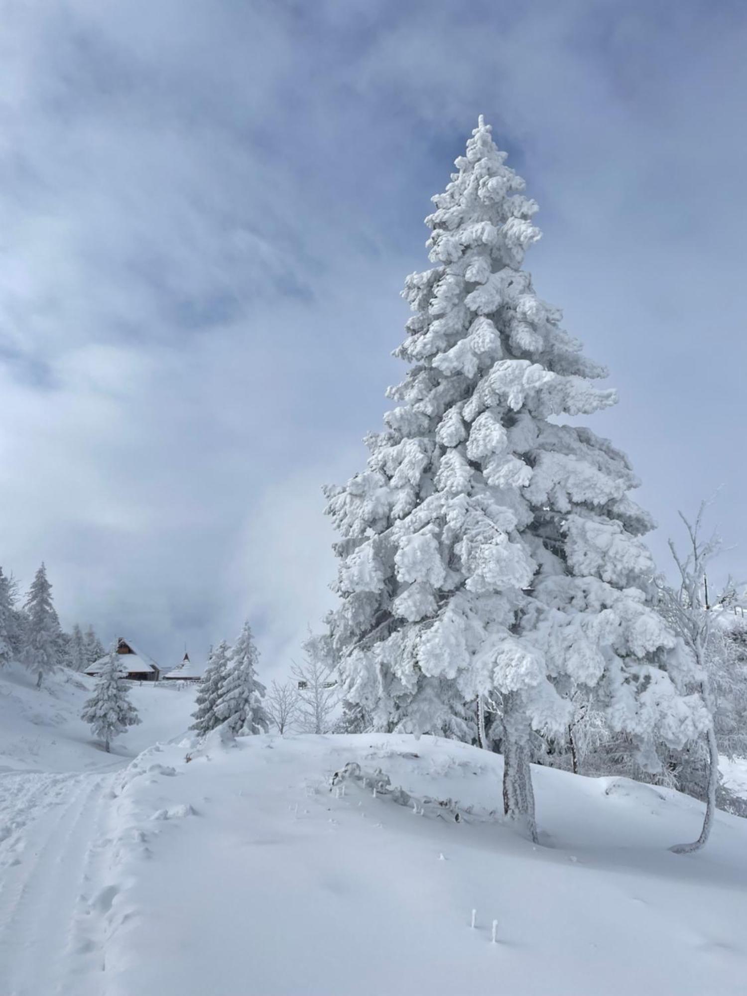 Velika Planina - Chalet Stane - Alps Stahovica Exterior foto