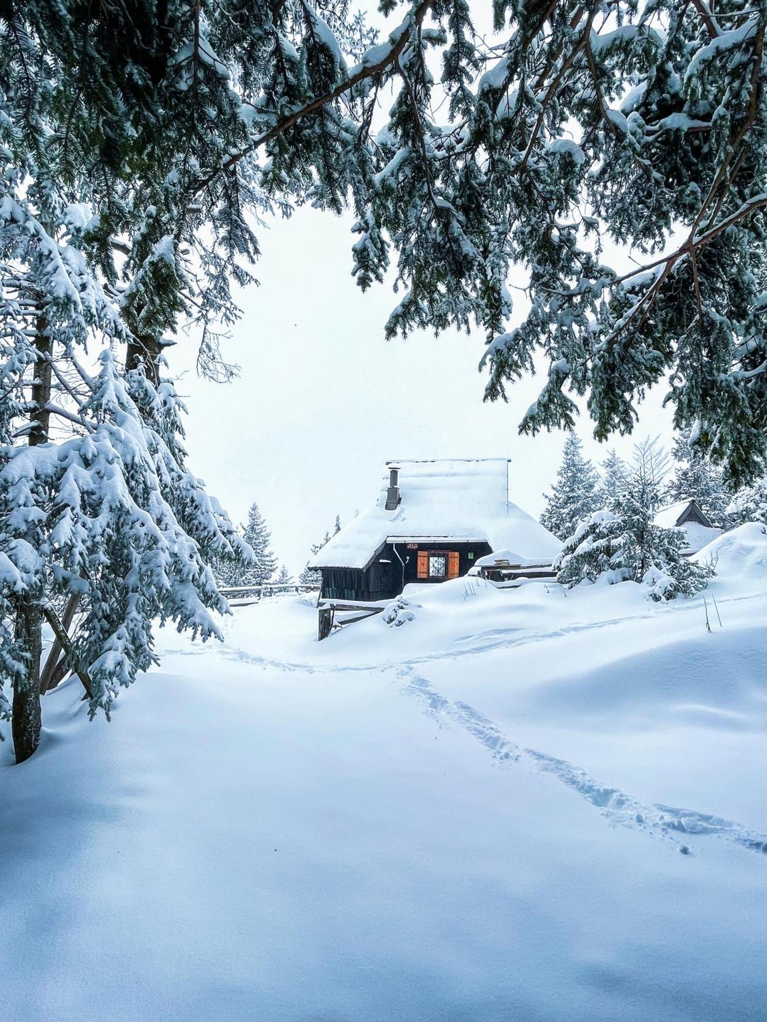 Velika Planina - Chalet Stane - Alps Stahovica Exterior foto